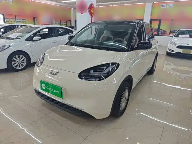 2025 Wuling Motors Binguo