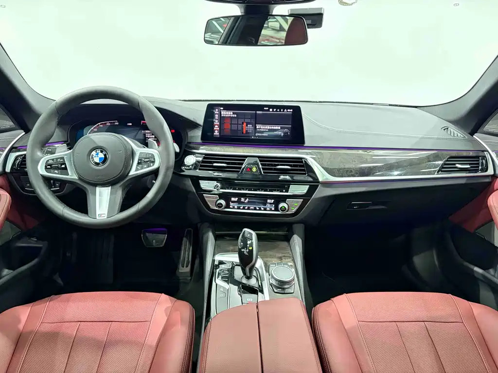 BMW 5 Series 5 2020 530Li Premium M Sport