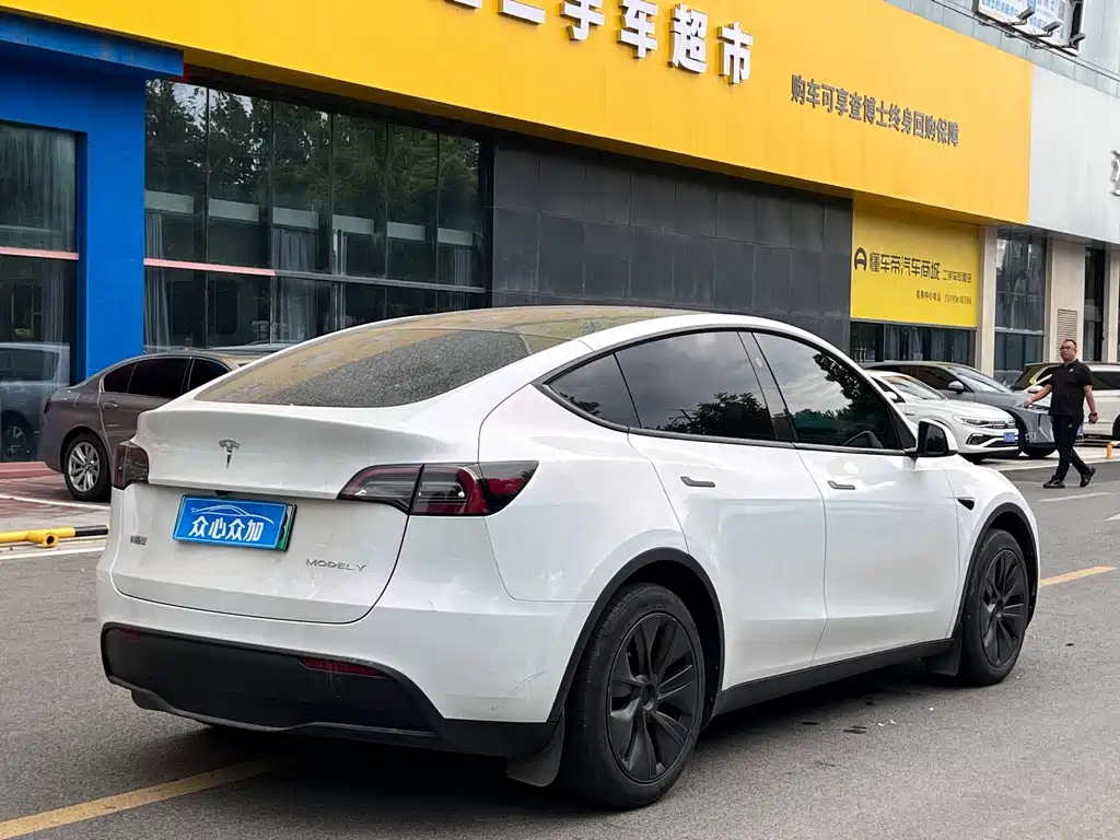 Tesla Model Y — миниатюра 7