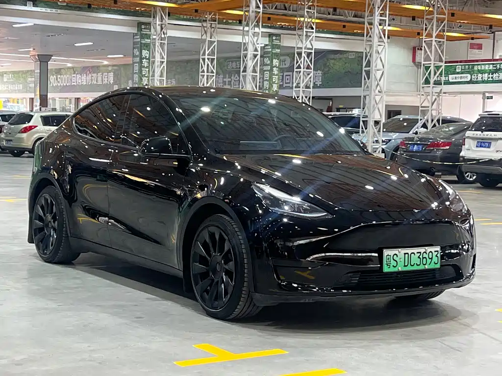 Tesla Model Y — миниатюра 3