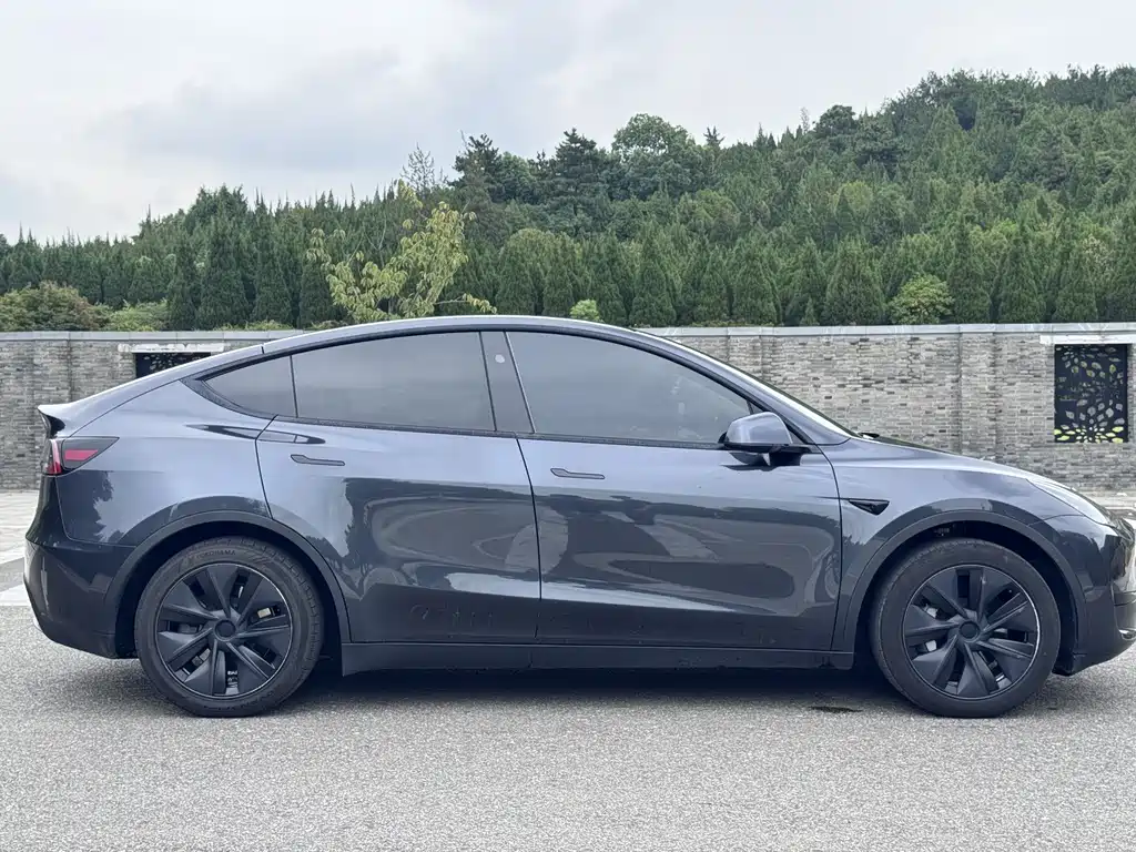 Tesla Model Y — миниатюра 4