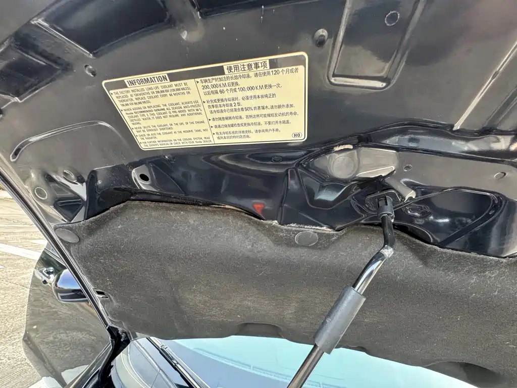 Honda Odyssey — миниатюра 20