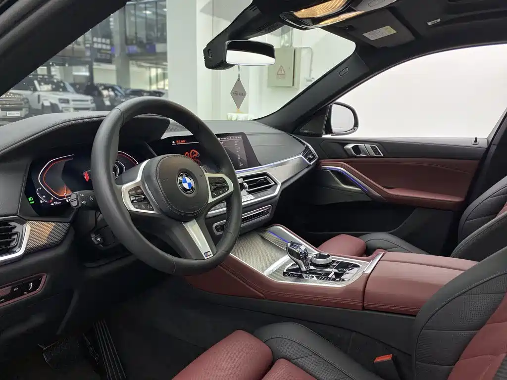 BMW X6 — миниатюра 30
