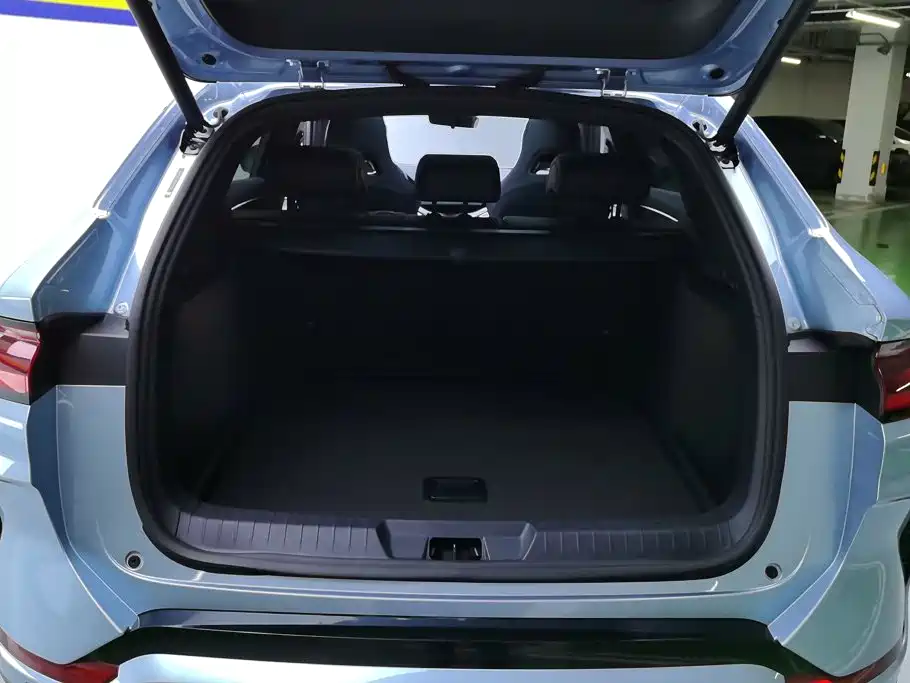 BYD PLUS New Energy — миниатюра 4