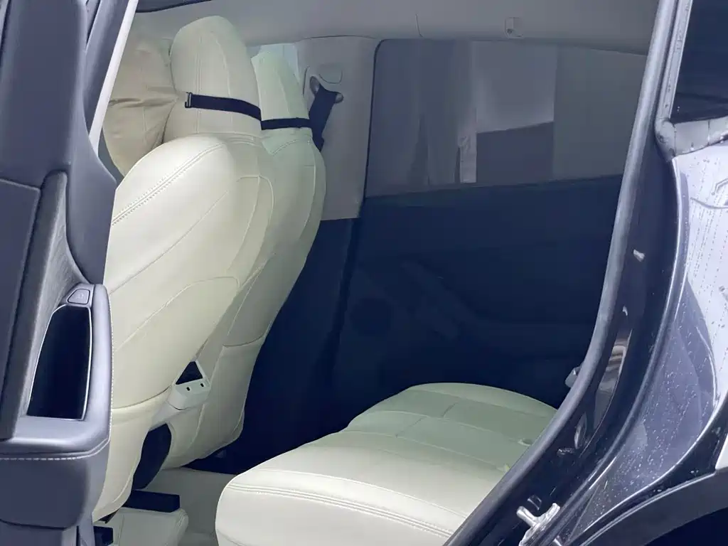 Tesla Model Y — миниатюра 10