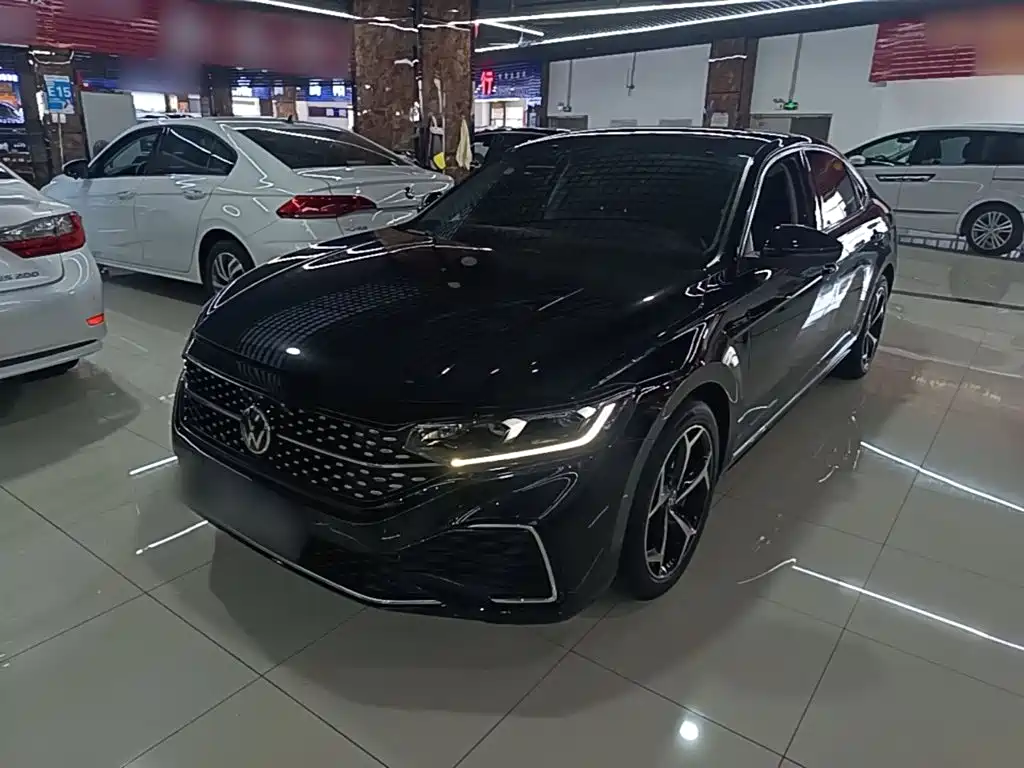Volkswagen Passat — миниатюра 2