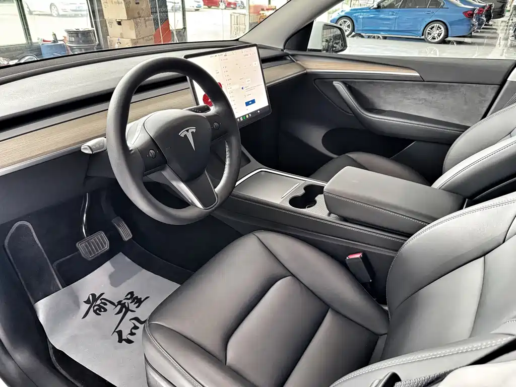 Tesla Model Y — миниатюра 8