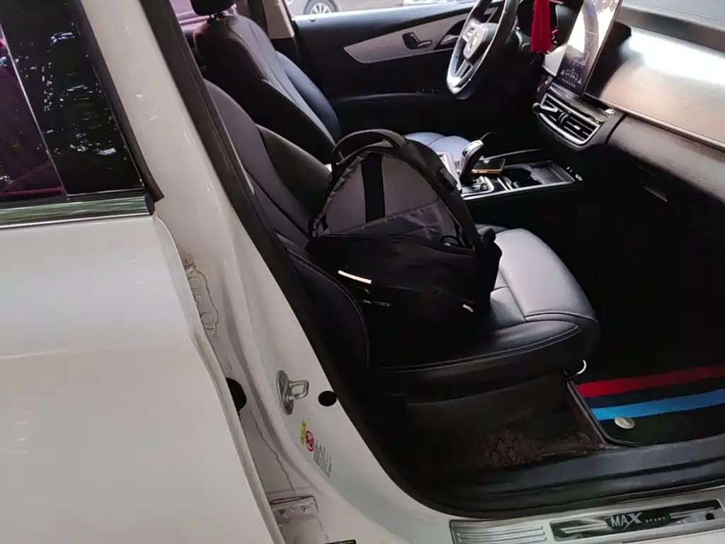 BYD MAX — миниатюра 25