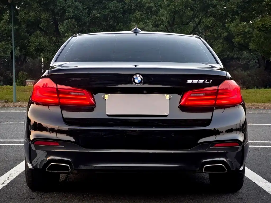 BMW 5 Series — миниатюра 5