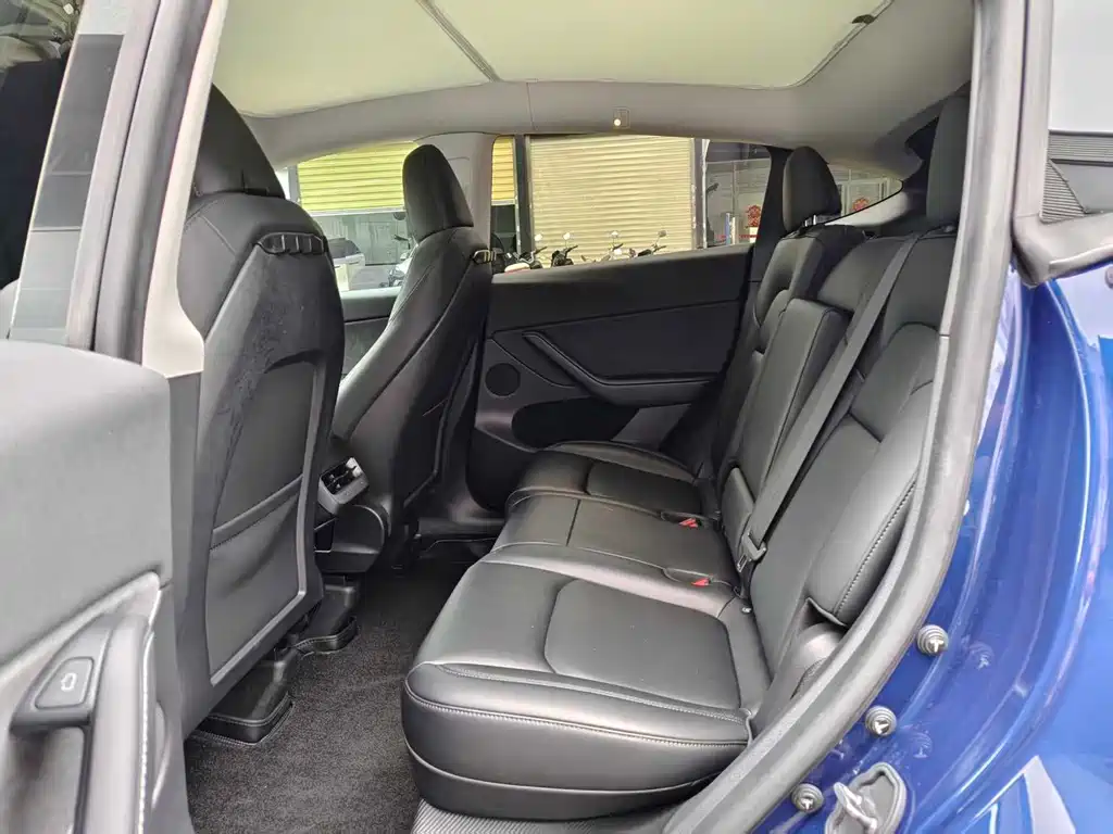 Tesla Model Y — миниатюра 6