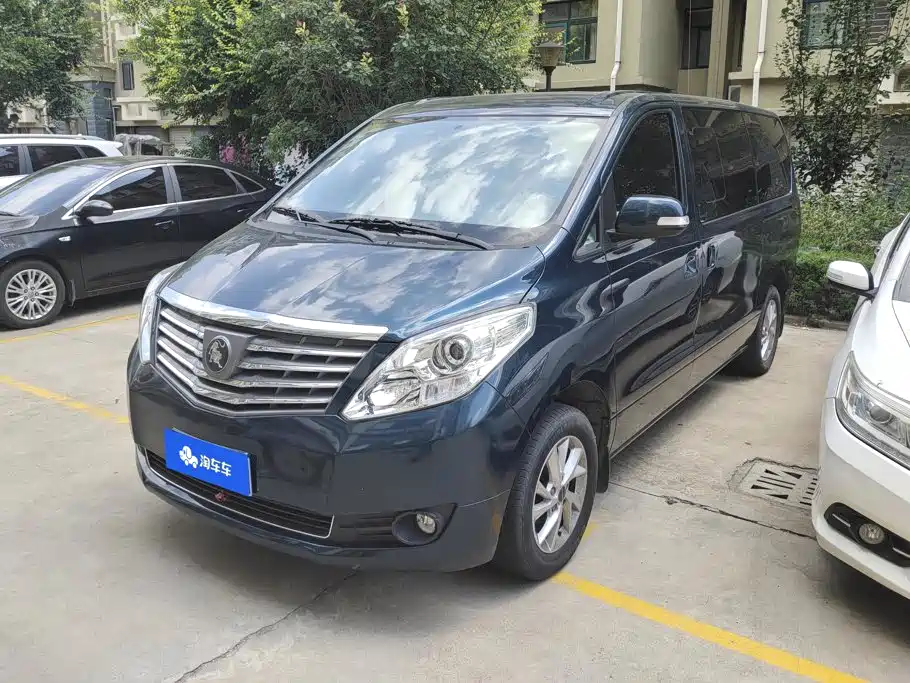 Fengxing Lingzhi PLUS