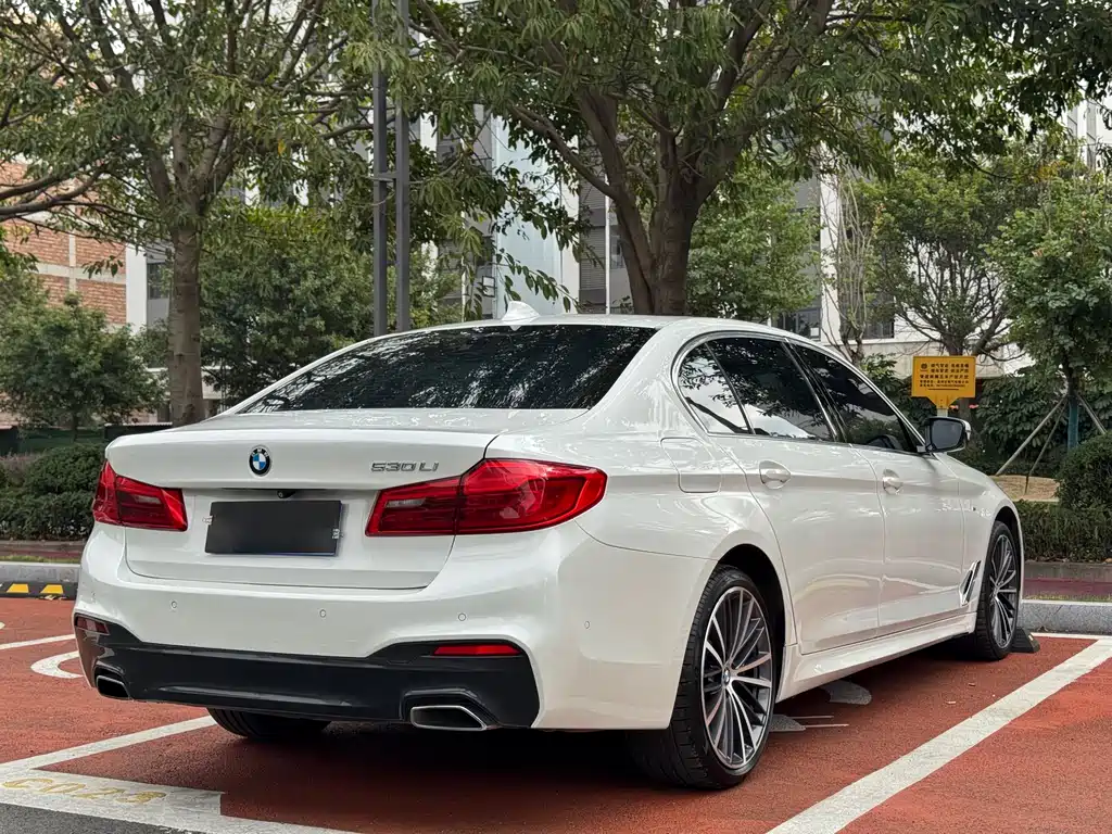 BMW 5 SERIES