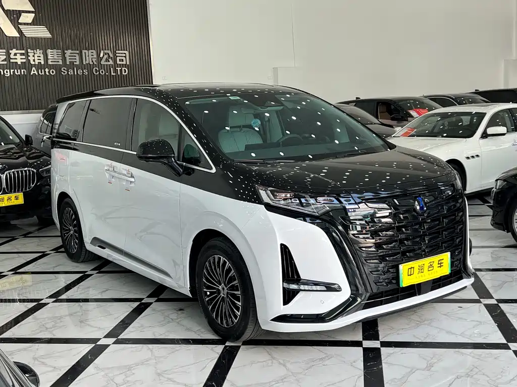 Denza Denza D9 — миниатюра 3