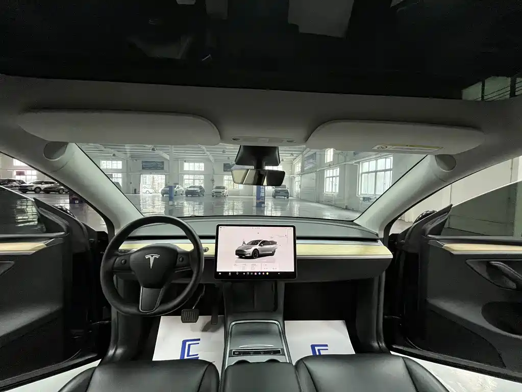 Tesla Model Y — миниатюра 7