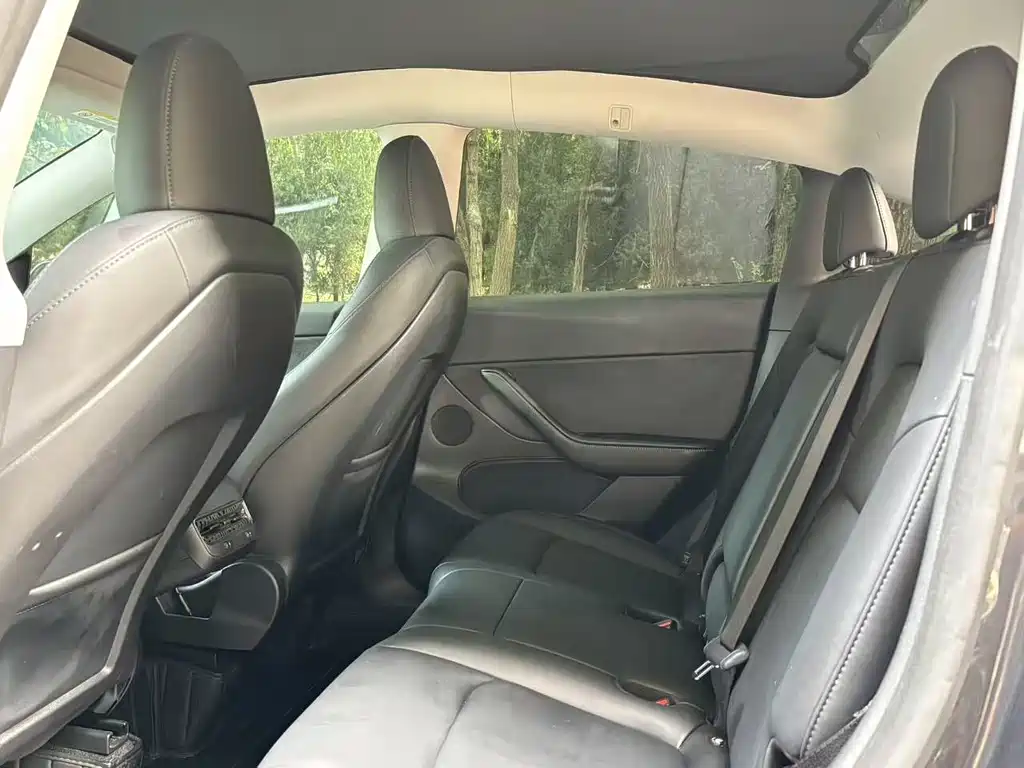 Tesla Model Y — миниатюра 9