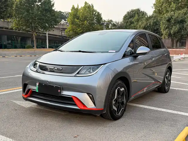 BYD Dolphin