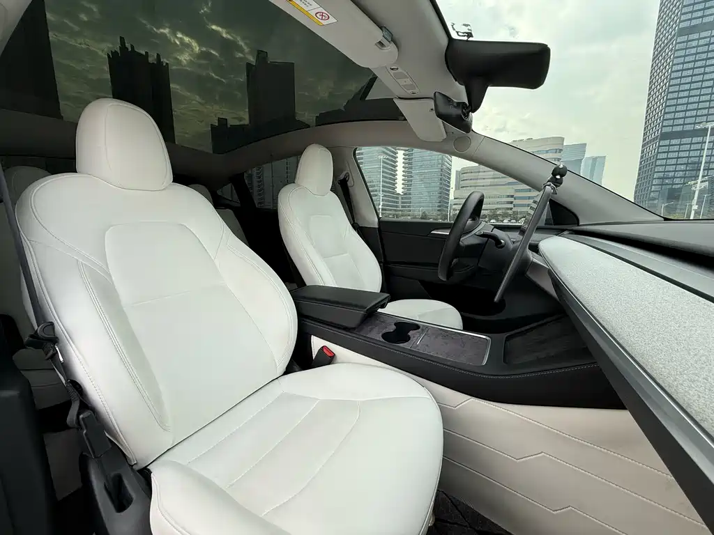 Tesla Model Y — миниатюра 15