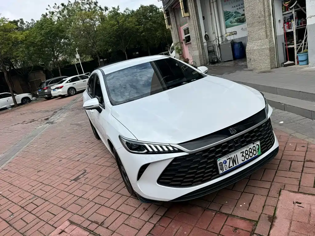 BYD Qin Plus PLUS 2025 DM-i Smart Drive 55KM Lead