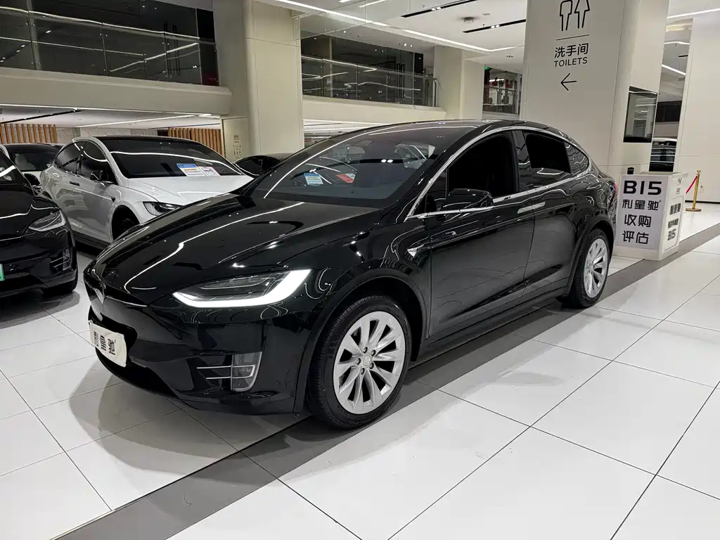Tesla Model X — миниатюра 12
