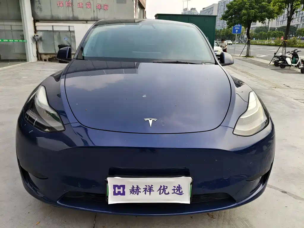 Tesla Model Y — миниатюра 2