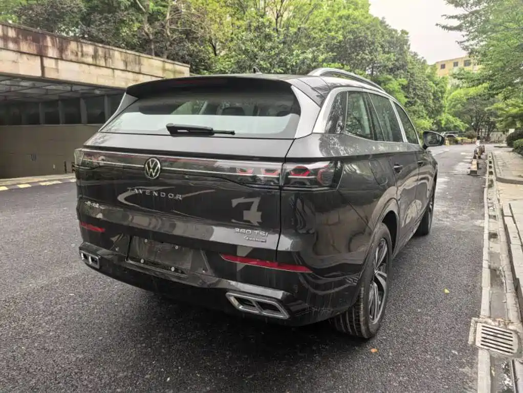 Volkswagen Tavendor — миниатюра 6