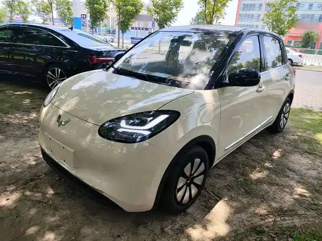 2026 Wuling Motors Binguo