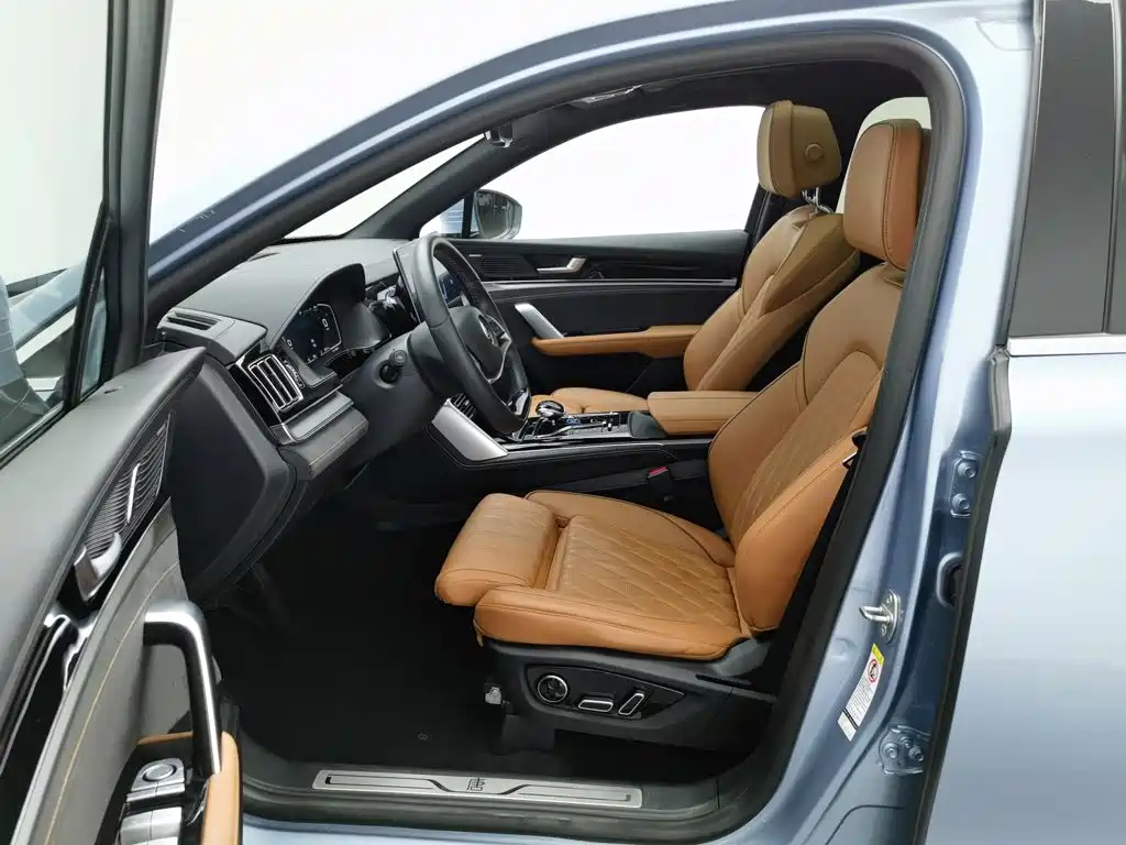 BYD Tang New Energy — миниатюра 10