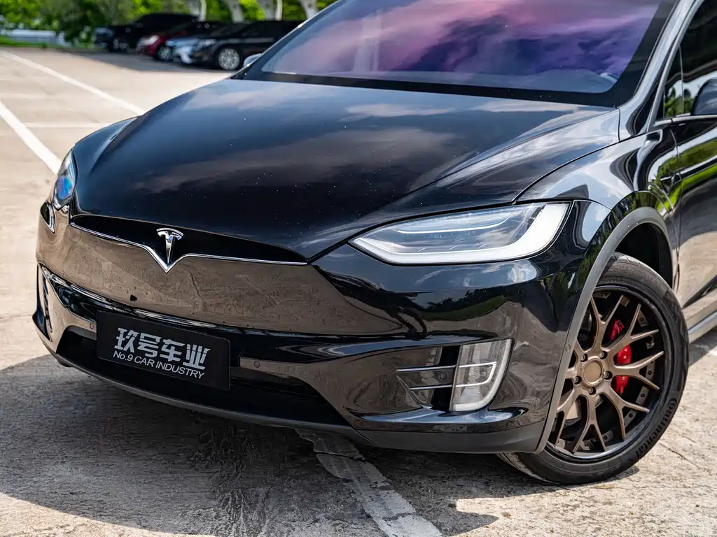 Tesla Model X — миниатюра 6