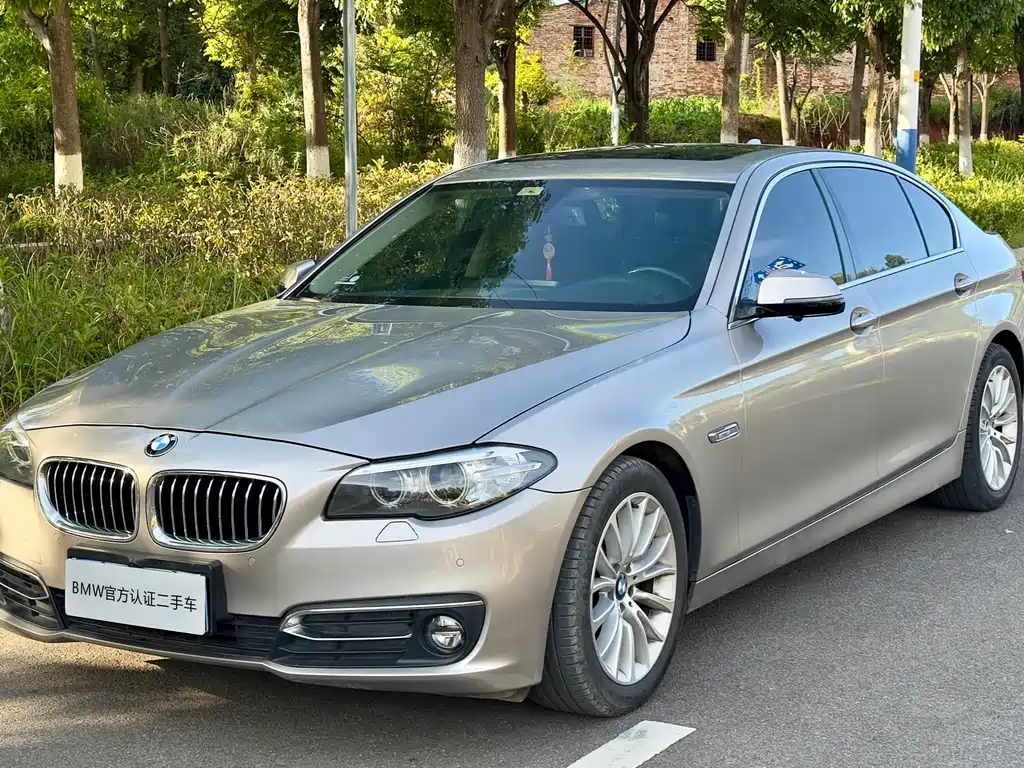 BMW 5 Series 2015