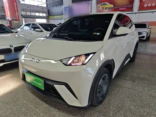 2024 BYD Seagull
