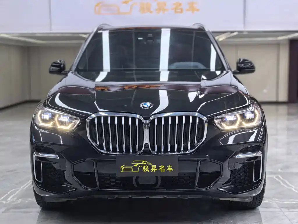 BMW X5 — миниатюра 2