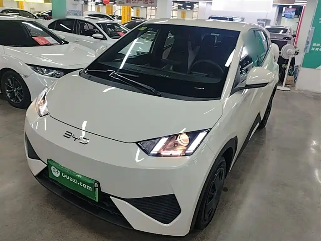 BYD Seagull 2025 Smart Drive 305km