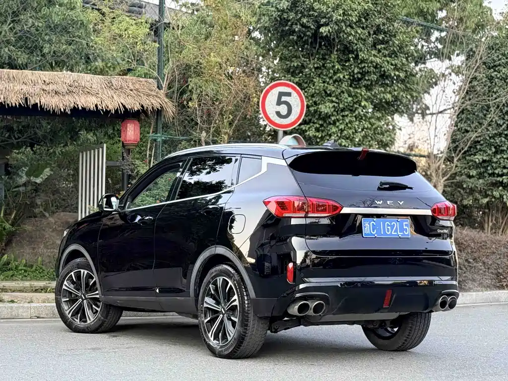 WEI PAI WEI BRAND VV6