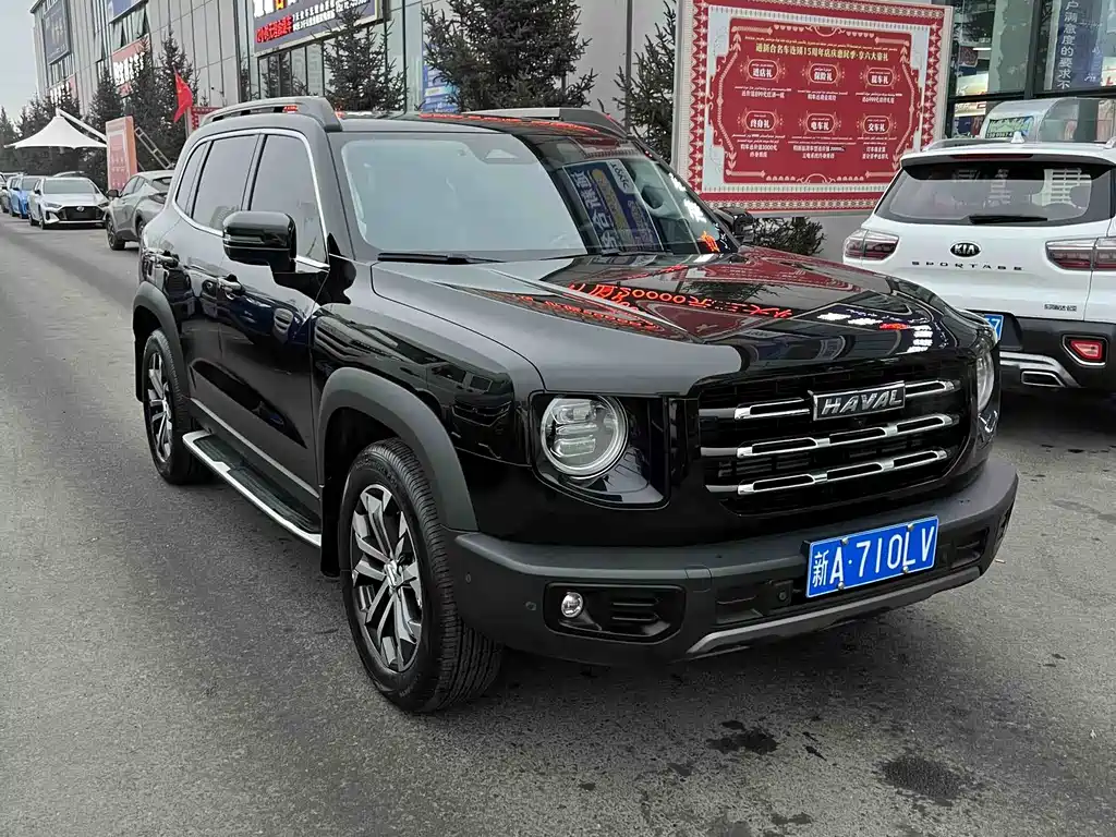 HAVAL BIG DOG
