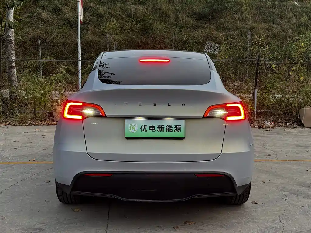 Tesla Model Y — миниатюра 2