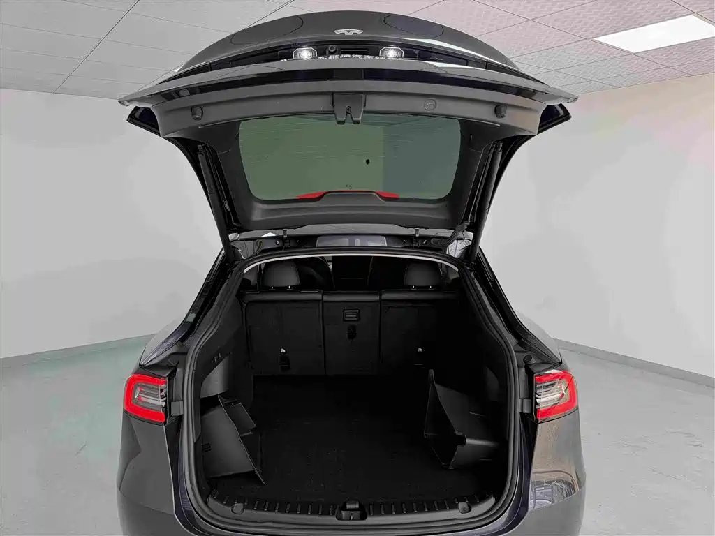 Tesla Model Y — миниатюра 18