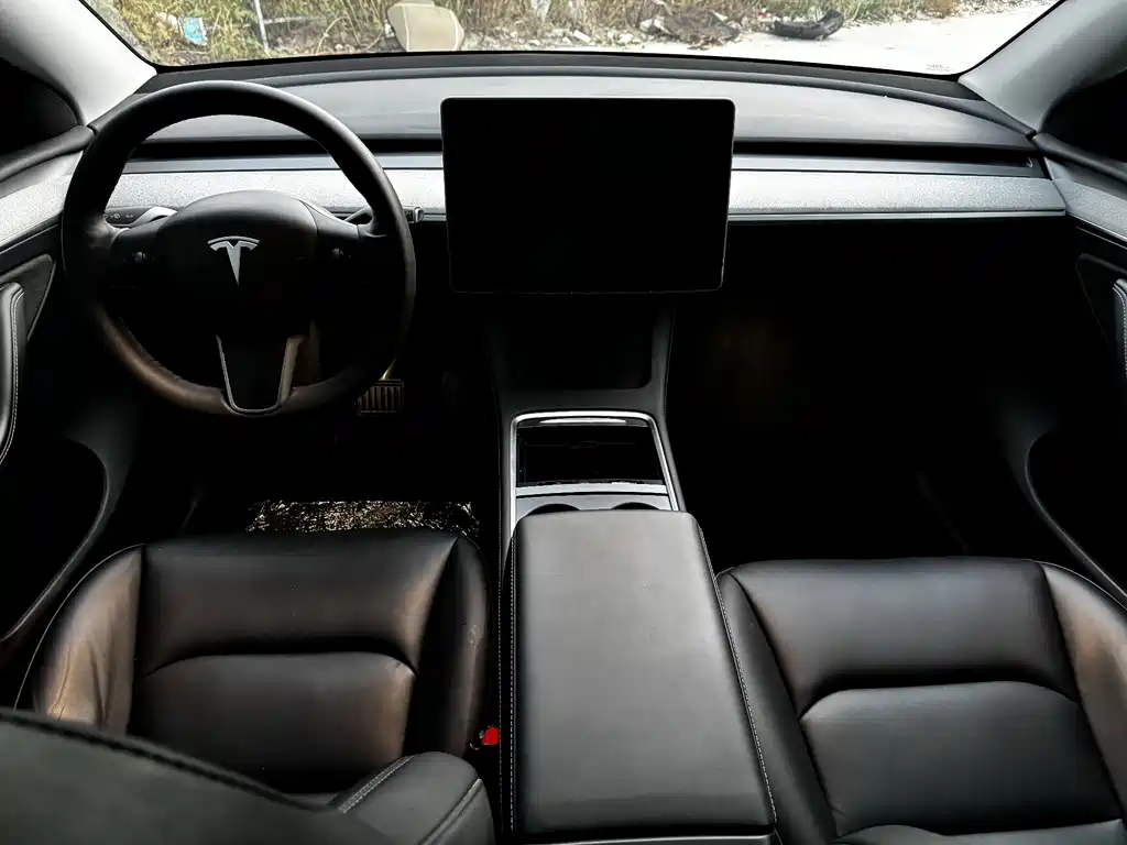 Tesla Model Y — миниатюра 7