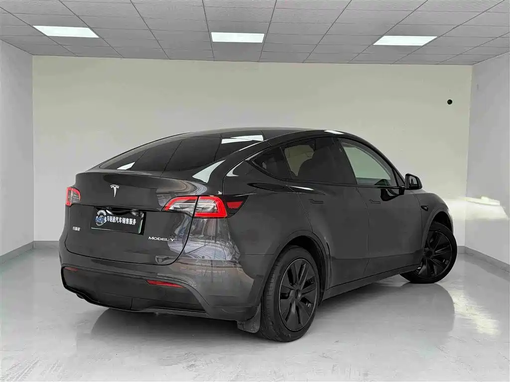 Tesla Model Y — миниатюра 16