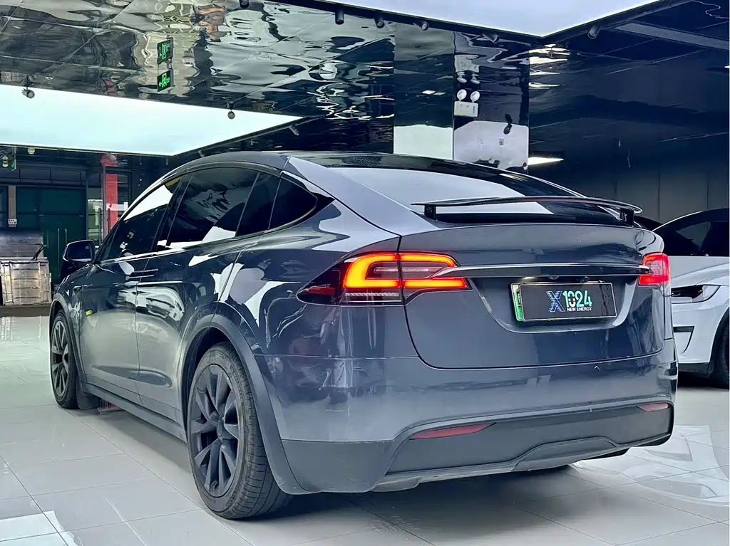 Tesla Model X — миниатюра 13
