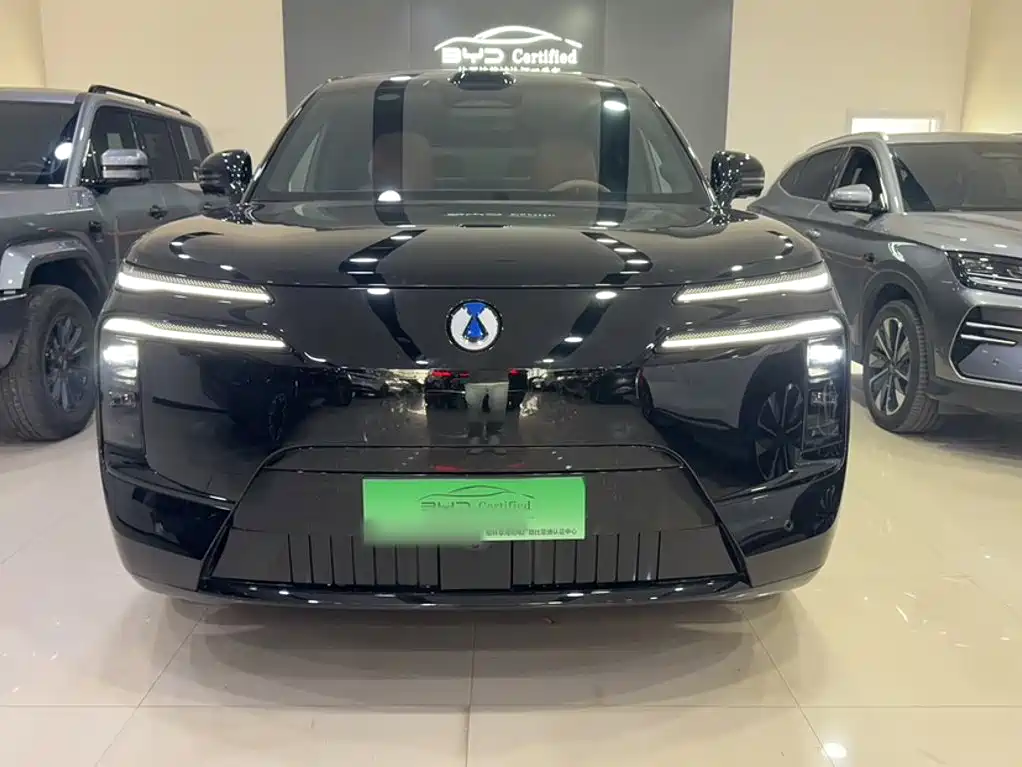 Denza Denza N8L — миниатюра 6