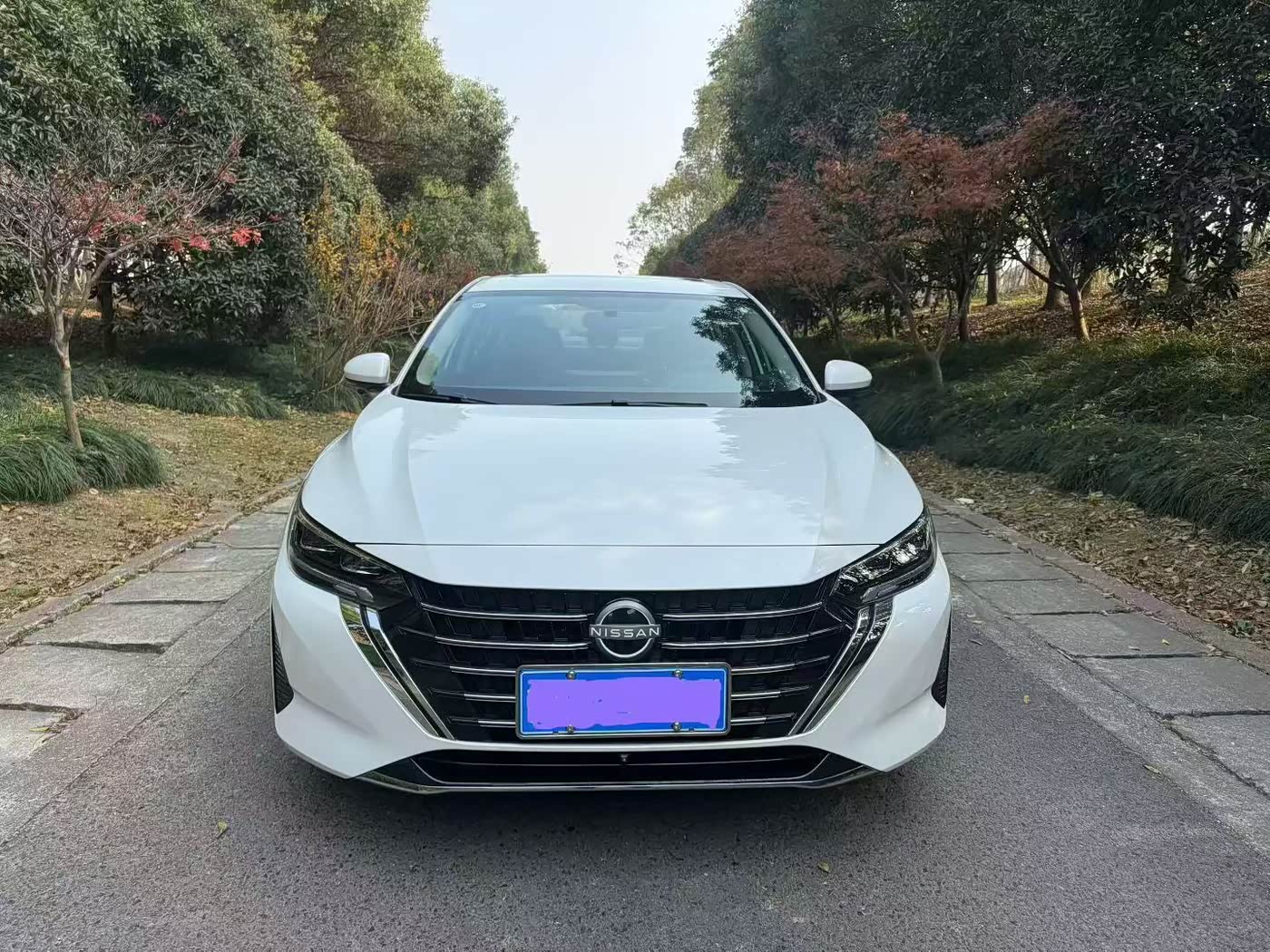 Nissan Sylphy 1.6 л 2024 г. Белый, пробег 30000 км