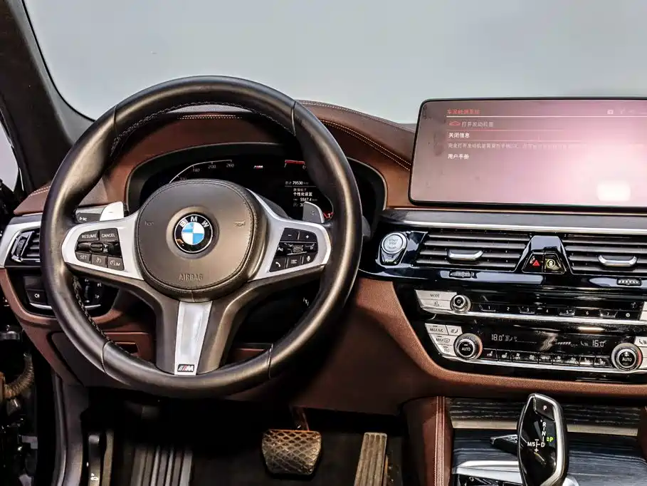 BMW 5 Series — миниатюра 31