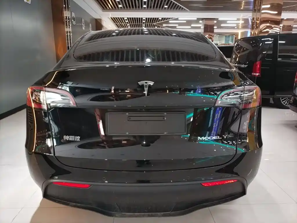 Tesla Model Y — миниатюра 6