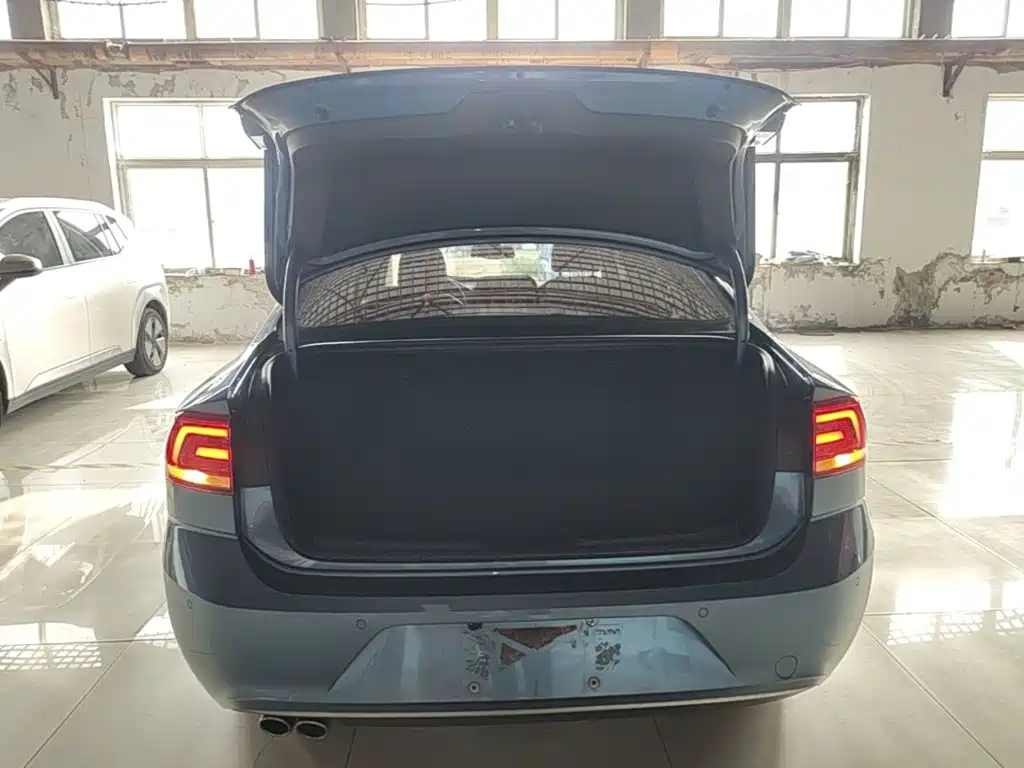 Volkswagen Lamando — миниатюра 19