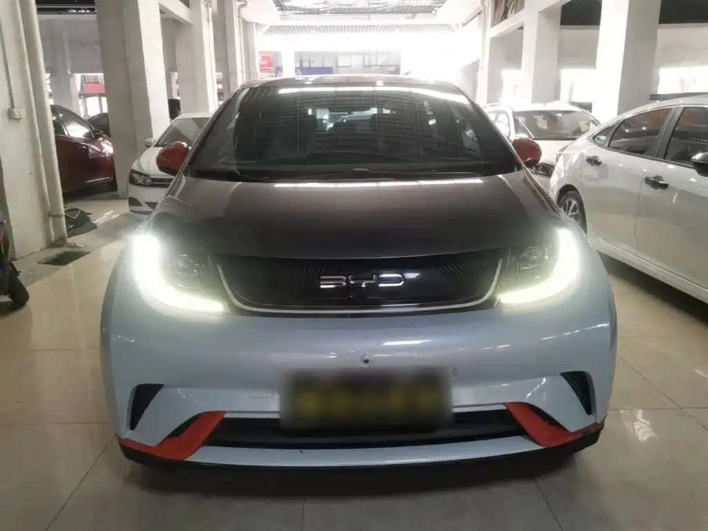 BYD Dolphin 2021 405km Fashion