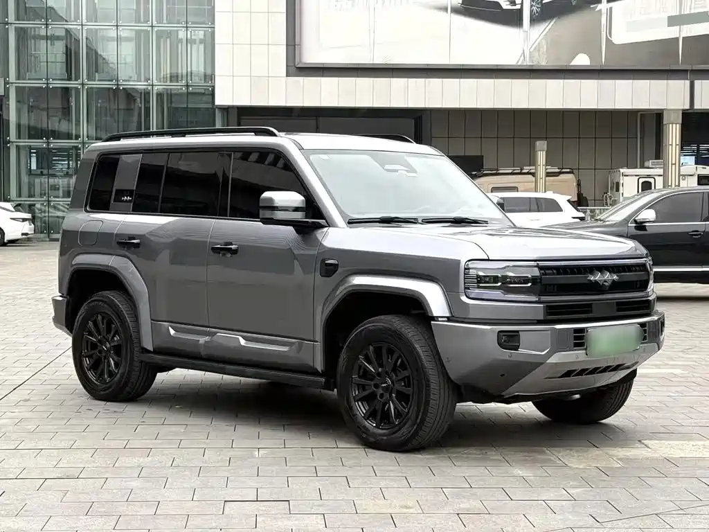 FANG CHENG BAO LEOPARD 5