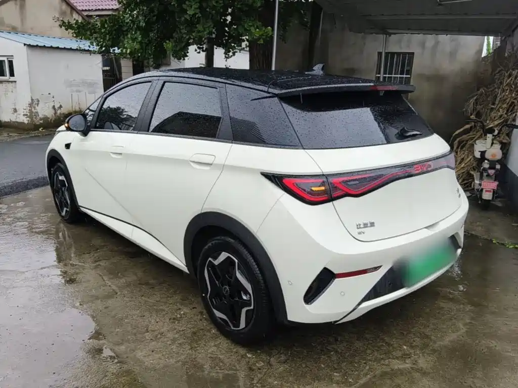 BYD Dolphin — миниатюра 5
