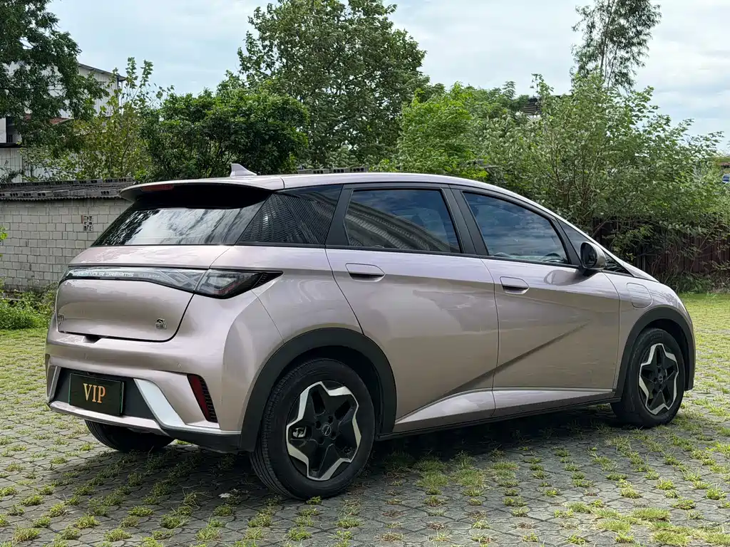 BYD Dolphin — миниатюра 4