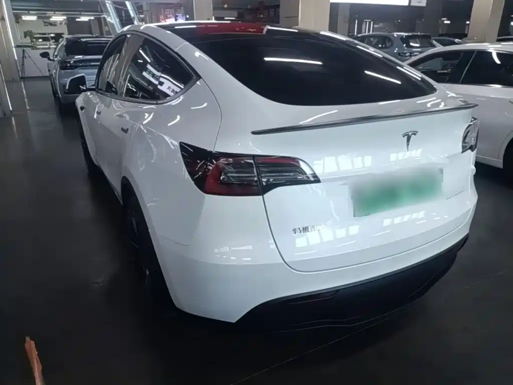 Tesla Model Y — миниатюра 5