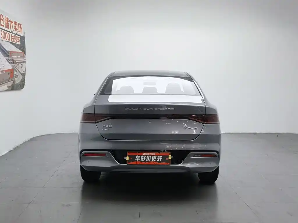 BYD Qin Plus PLUS 2024 DM-i 55KM Lead